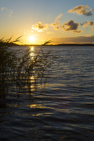 Summer landscape -
View of the lake Rosの写真素材
