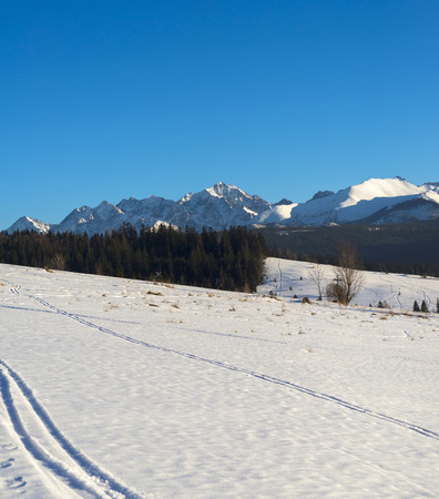 Winter mountains covered with snow, view from a big meadow in Tatry mountains in Polandの写真素材