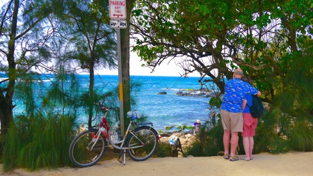 Hawaii love vacation coupleの素材