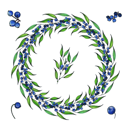 Vector bright floral wreath, leaves, berries, spring, isolated on white backgroundのイラスト素材