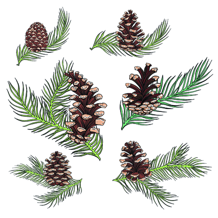 Vector bright floral wreath, leaves, berries, spring, isolated on white backgroundのイラスト素材