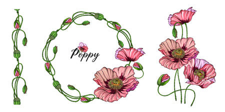 Vector colored bright flowers, buds, pink poppy leaves.のイラスト素材