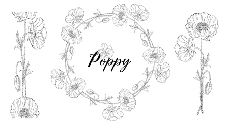 Vector colored bright flowers, buds, pink poppy leaves.のイラスト素材