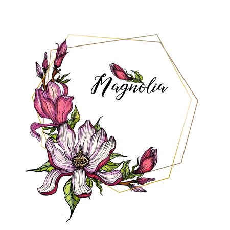vector bright flower collection of Magnolia flowersのイラスト素材