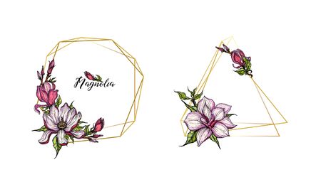 vector bright flower collection of Magnolia flowersのイラスト素材