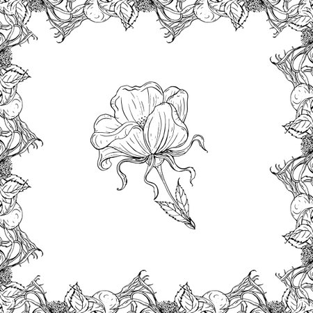 Graphic vector plant sets with wild rose flowers and flower budsのイラスト素材
