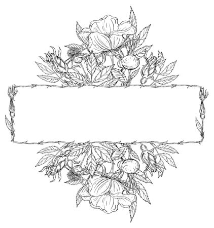 Graphic vector plant sets with wild rose flowers and flower budsのイラスト素材