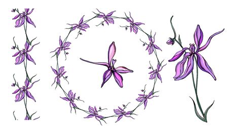 vector set with delicate purple wildflowers.のイラスト素材