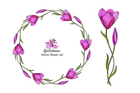 Vector flower set, with pink delicate flowersのイラスト素材