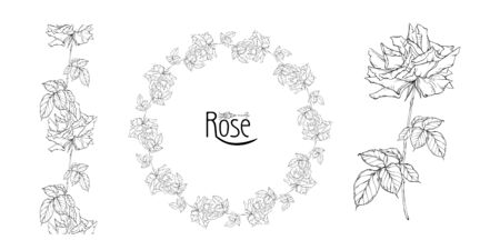 vector floral arrangement with rose flowers and rose budsのイラスト素材