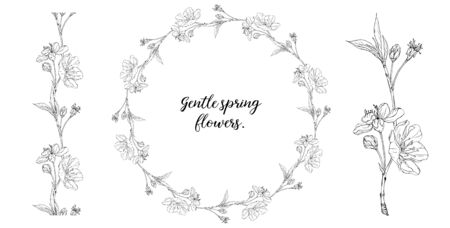 floral graphic composition with spring flowersのイラスト素材