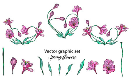 Vector floral arrangements with romantic pink flowers.のイラスト素材