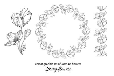 A set of graphic flower compositions with Jasmine flowers. Jasmineのイラスト素材