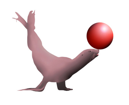 seal with a ballの写真素材