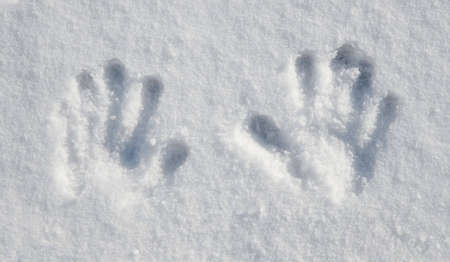 Imprint of two small hands in snow.の写真素材