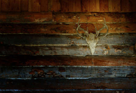 Antlers on Dark Wall Cabin Exteriorの写真素材
