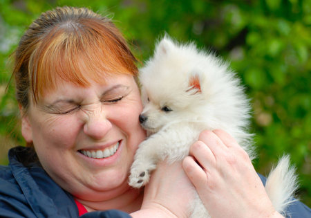 Woman holding an adorable white pomeranian puppy.の写真素材