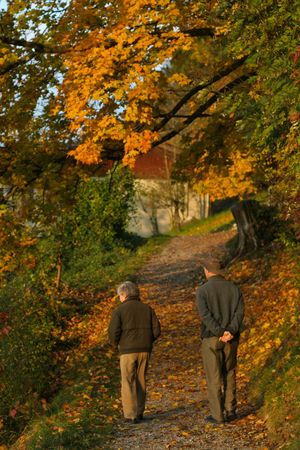 An elderly woman and your son walk along a forest path in autumn.の写真素材