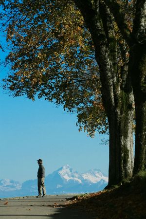 A man contemplates a distant chain of mountains, while standing on a tree-shaded road, in Fall.の写真素材