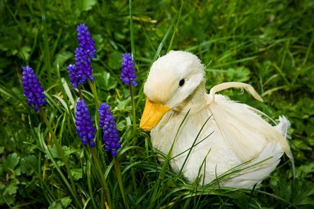 A handmade duck, made of straw and feathers,  beside purple flowers, amidst tall grass.の写真素材