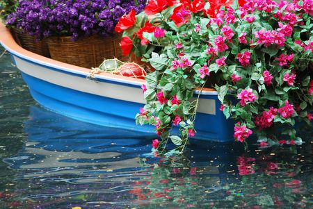 flowers in a boatの写真素材