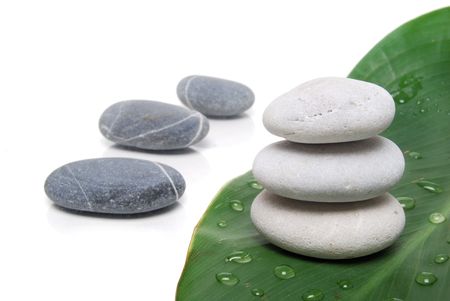 therapy stones with plantの写真素材