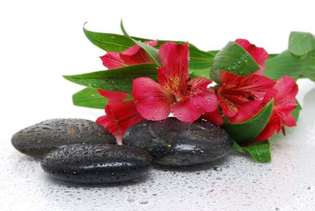 black spa stones and flowersの写真素材