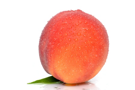 wet peach white backgroundの写真素材