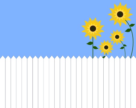 sunflowers and white picket fenceのイラスト素材