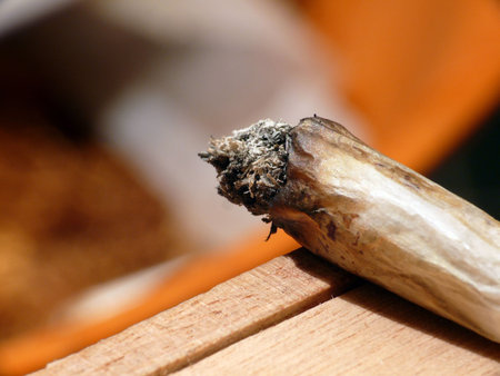 Hand-rolled jointの写真素材