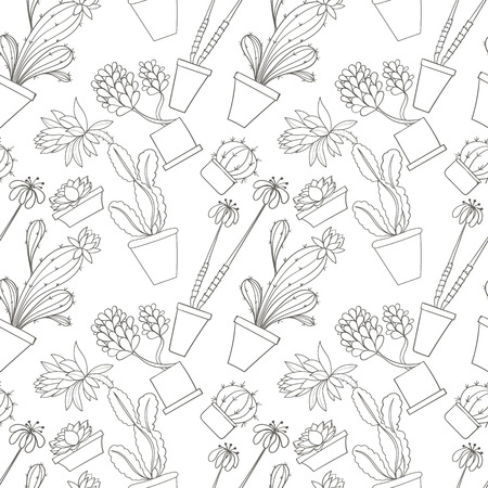 Seamless cactus pattern can be used for wallpaper, website background, wrapping paper. Cactus natural bright pattern. Summer design. Flower concept.の写真素材