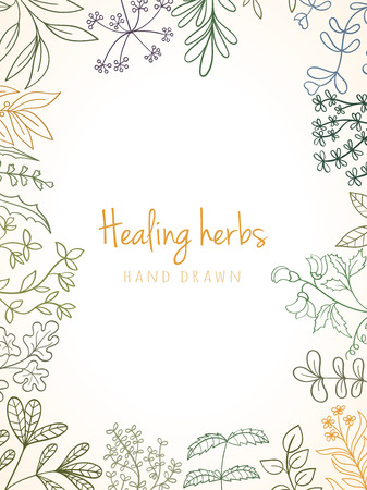 Hand drawn vintage background of medicinal organic healing herbs. Vector medical plants and herbal botanical flowerelements can be used for banner template, card, flyer, banner, sale, websiteのイラスト素材