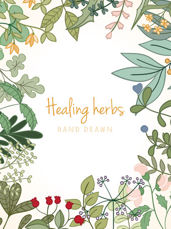 Hand drawn vintage background of medicinal organic healing herbs. Vector medical plants and herbal botanical flowerelements can be used for banner template, card, flyer, banner, sale, websiteのイラスト素材