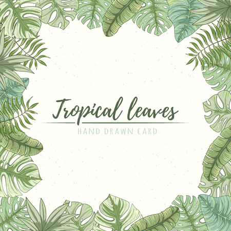 Hand drawn tropical palm leaves cardのイラスト素材