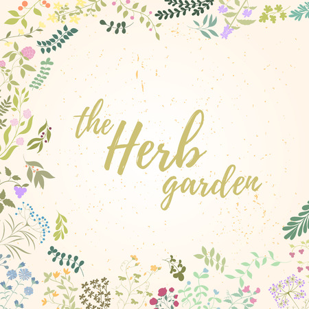 Herb hand drawn card with the herb garden lettering with colored herbs border.のイラスト素材