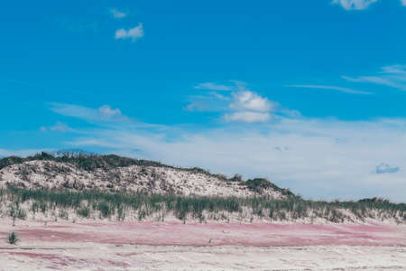 Sunny day at beautiful beach with sand dune landscape. High-quality photoの写真素材