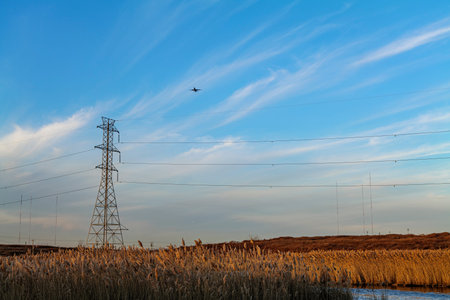 Low angle view of an airplane against the blue and cloudy sky, electric pylons in marshland, with...