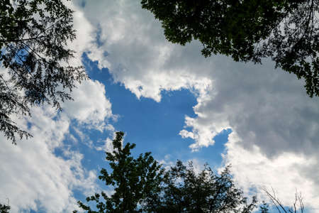 beautiful nature blue sky with clouds and trees, sky clouds background, copy space. High quality photoの写真素材