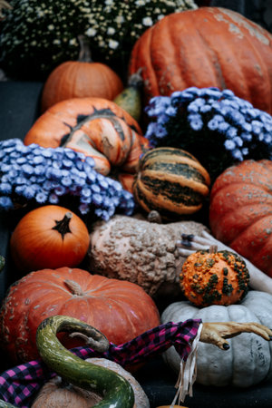 Fall Still Life with pumpkins on a front of the house against colorful background in New York City. High quality photoの写真素材