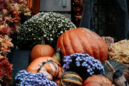 Fall Still Life with pumpkins on a front of the house against colorful background in New York City. High quality photoの写真素材