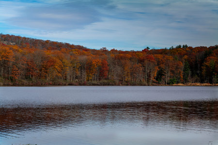 Autumn lake reflecting on a blue sky background and forest landscape. High-quality photo