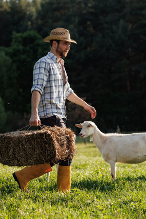 Male farmer carries hay for his goats. Young rancherman feeding cute pets. Farm livestock farming for the industrial production of goat milk dairy products. Agriculture business and cattle farming.の写真素材