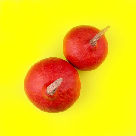 Two Hokkaido pumpkins on yellow background. Top view.の写真素材