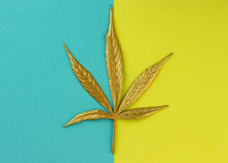 Golden yellow Cannabis leaf on blue and yellow background. Copy space.