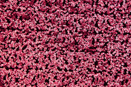 Pieces of cloth with silver sequins. Glitter background. Pink glitter background fabric texture....