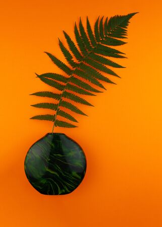 Green fern branches in vase on orange background. Pop-op style. Flat lay, top view.の写真素材