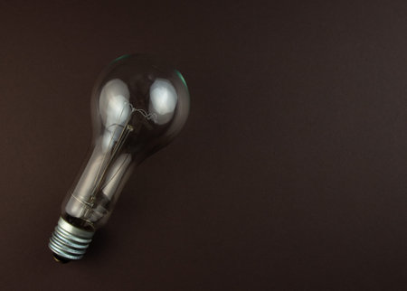 Old incandescent lamp on a brawn background. Energy or idea concept.