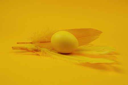 Easter single-colored egg and feather on yellow background. Happy Easter greeting card. Minimal...