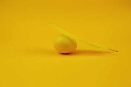 Easter single-colored egg and feather on yellow background. Happy Easter greeting card. Minimal easter concept. Yellow monochrome.の写真素材