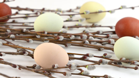 Easter background with Easter eggs and Pussy-willow. Top view.